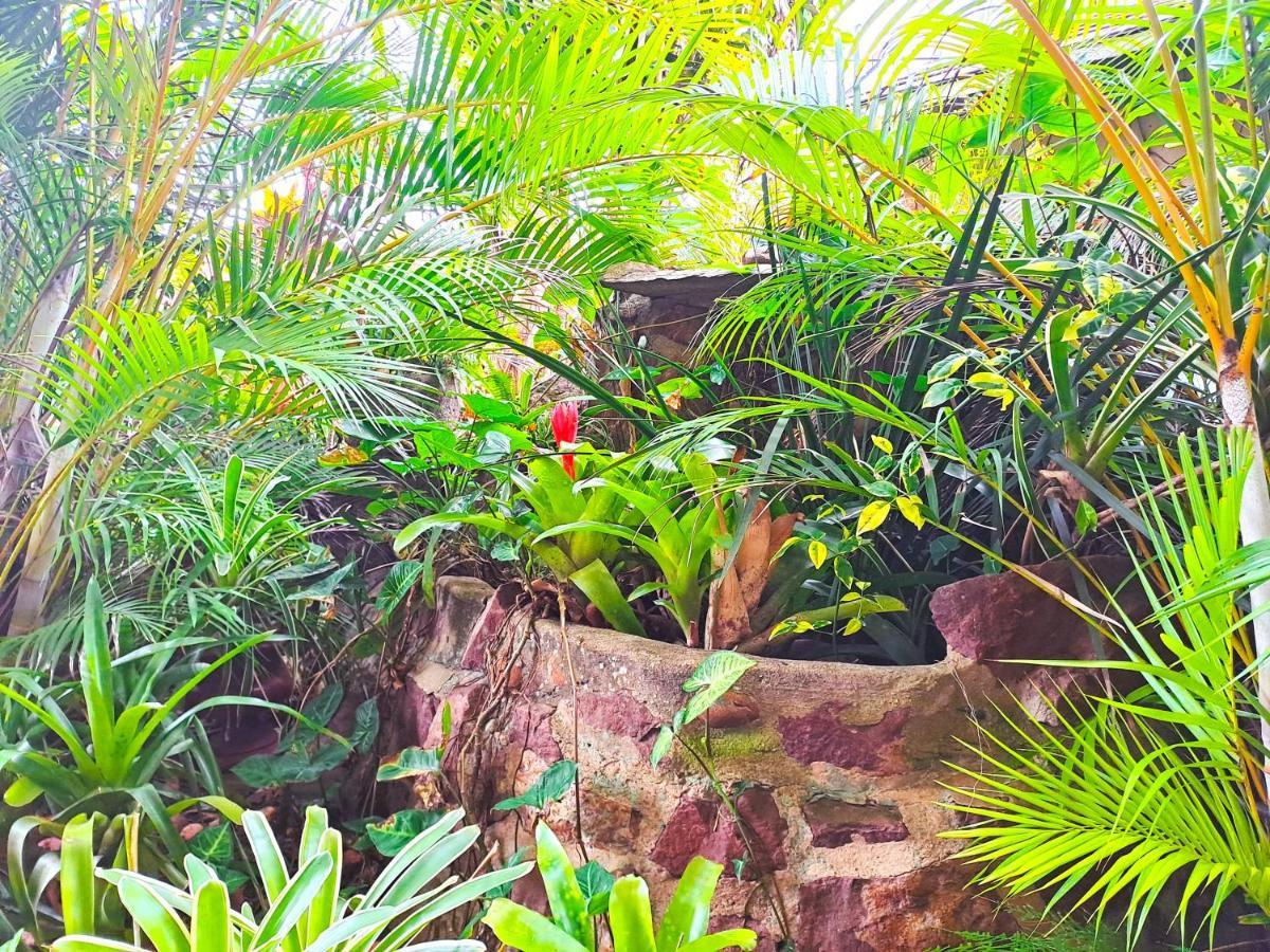 Old Mill Guest House Durban Exterior photo